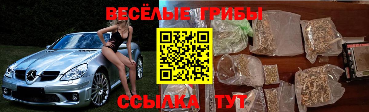 Орёл  Галлюциногенные грибы Cubensis  Вход с VPN  купить наркоту  Галлюциногенные грибы GOLDEN TEACHER 